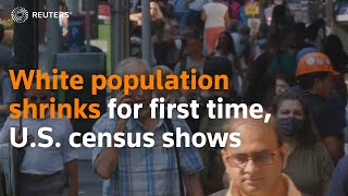 Census data shows white population shrank for first time [upl. by Lonnard]