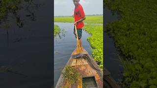 Big Fish Catching With Boat On The Sea Side Bill  part85 viral fish fishing shorts boat [upl. by Avlis]