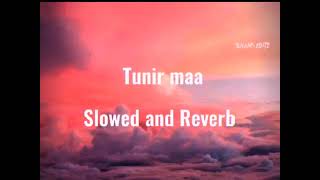 O Tunir Maa SlowedReverb Bengali song 2017 [upl. by Elison]