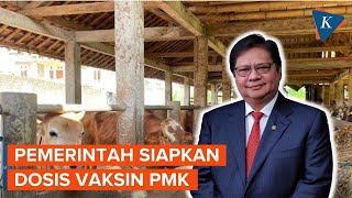 Wabah PMK Semakin Mengkhawatirkan Pemerintah Siapkan 28 Juta Vaksin [upl. by Jeff282]