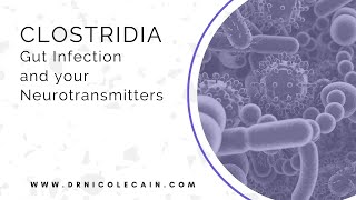 Clostridia The Gut Infection that is Wreaking Havoc on your Neurotransmitters [upl. by Elamrej608]