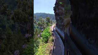 Levada Nova Ponta do Sol Madeira island [upl. by Arrotal777]