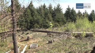 Feuerwehr verhindert größeren Waldbrand [upl. by Yeliab]