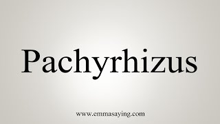 How To Say Pachyrhizus [upl. by Acirretal]