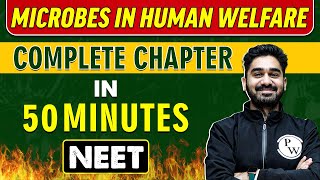 MICROBES IN HUMAN WELFARE in 50 minutes  Complete Chapter for NEET [upl. by Bashee163]