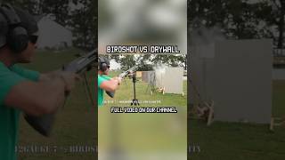 BIRDSHOT VS DRYWALL birdshot shotgun homedefense training test shorts short shortsvideo [upl. by Kaasi]