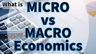 Whats the Difference between MICRO and MACRO  Think Econ macro micro economics [upl. by Eerb]