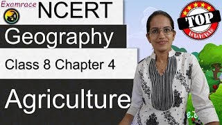 NCERT Class 8 Geography Chapter 4 Agriculture Examrace  Dr Manishika  English  CBSE [upl. by Garrard]