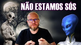 Quem são os SERES que dominam nossa realidade  Leo Schneebeli [upl. by Enasus904]