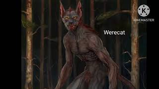 Werecat sounds cat [upl. by Llednahc313]