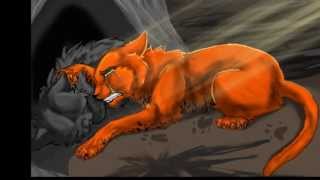 Top 15 Saddest Warrior Cat Deaths [upl. by Pasco2]