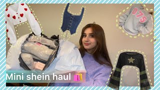 MINI SHEIN HAUL  Alishbah Anjum [upl. by Alla747]