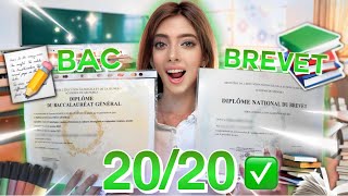 COMMENT AVOIR 2020 AU BAC amp BREVET  100 réussite  📝✅ [upl. by Carolina]