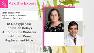 Ask the Expert Raghu Mirmira MD PhD amp Sarah Tersey PhD University of Chicago [upl. by Gautious]