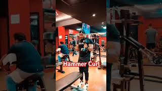 Hammer curl most effective log head bicep workout motivation dumbbellbicepworkout subscribe [upl. by Tracy334]