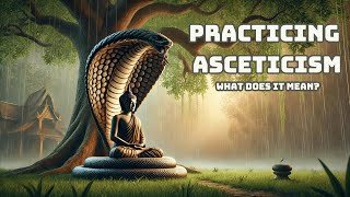 Practicing Asceticism What Does It Mean  buddhism in english [upl. by Brittne]