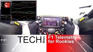 F1 Telemetry for Rookies  Sauber F1 Team [upl. by Aicirtak]