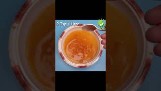 Organic Pesticide For Healthy Plants diseases shortsfeed shots shorts gardening yt trending [upl. by Heady]