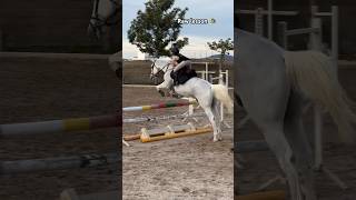 Raw lesson 🐴Gardeur gilaryeq horse showjumping equestrian horseriding ponies [upl. by Haneehs]