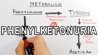 Phenylketonuria  Biochemistry amp Genetics [upl. by Navetse]