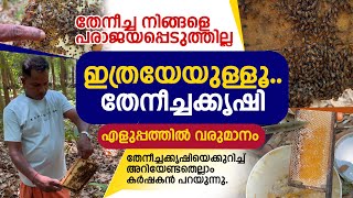 ഇത്രയേയുള്ളൂ തേനീച്ചക്കൃഷി തേനീച്ച നിങ്ങളെ പരാജയപ്പെടുത്തില്ല  How to Start a Honey Bee Farm [upl. by Netsruk578]