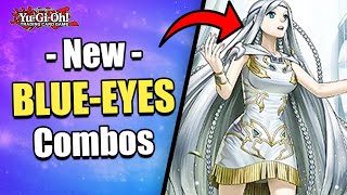 NEW BLUEEYES SUPPORT IS CRAZY  PURE BLUEEYES COMBOS  POST STRUCTURE DECK  YuGiOh [upl. by Werda]