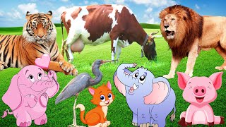 Discover Animal sounds cat chicken tiger shark bee dog lion elephant cow monkey Animals [upl. by Beata]