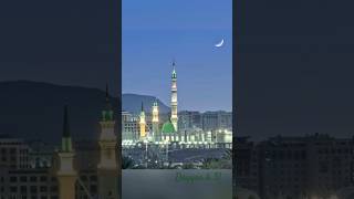 labbaik ya RASOOL ALLAH [upl. by Airemat]