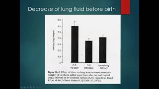 DavidTransient Tachypnea of the Newborn [upl. by Anjela]