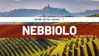 Grape Varieties  Nebbiolo Intermediate Version ideal for WSET Level 2 Wine [upl. by Aniluap]