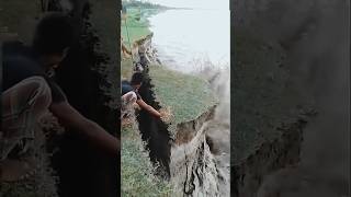 Karnali river cutting floodriver cute karnalishorts [upl. by Cara]