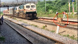 EXP TRAIN hit COW  SARNATH EXP  15159 सारनाथ एकस्प्रेस  INDIAN RAILWAYS [upl. by Nivlam]