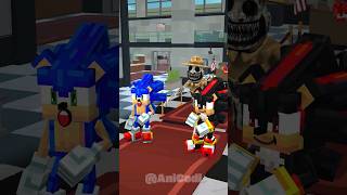 Sonic amp Shadow Chase Aphmau  Minecraft amp Zoonomaly [upl. by Niotna263]