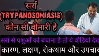 Trypanosomiasis  सर्रा से अपने पशु को कैसे बचाएं [upl. by Ellives122]