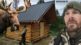 Log Cabin Build on OffGrid Homestead EP31 MOOSE [upl. by Clarkin]