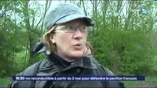 Une formation pour mieux connaître les secrets du marais poitevin [upl. by Inaleon391]