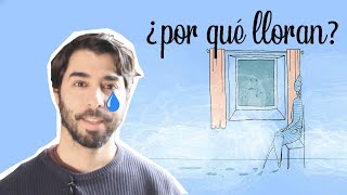 ¿Por qué LLORAN las VENTANAS 😭2 SOLUCIONES para EVITAR la HUMEDAD [upl. by Pena]