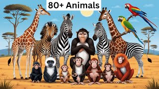 80 Mammals Name at once Animals Kids Learning Poem Some Animals Poem  Nursery Rhymes [upl. by Nhor]