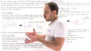 Mechanisms of Enzyme Catalysis [upl. by Ahsyla]