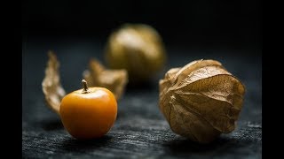 Harvesting Golden Berry  Physalis peruviana fruit plants farming [upl. by Hayyifas]