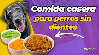 Cómo Preparar Comida Casera para Perros Sin Dientes [upl. by Atnuahc46]