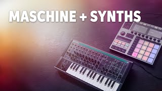 Maschine Plus Autosampler Synths amp Sampling Reimagined  Deep Dive [upl. by Emelia85]