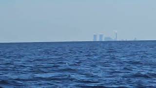 JULY 17 2024 AM SCALLOPING TOUR  SCALLOP ADVENTURES  CRYSTAL RIVER FLORIDA [upl. by Auof149]