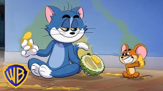 Episódios Completos de Tom e Jerry na Singapura  Cartoon Network Ásia  WBKidsBrasil​ [upl. by Frodina]