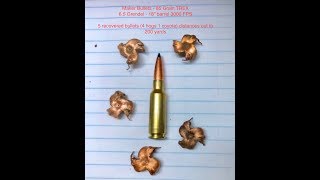 Maker TREX bullet performance on hog  65 Grendel 85 grain monolithic [upl. by Nah944]