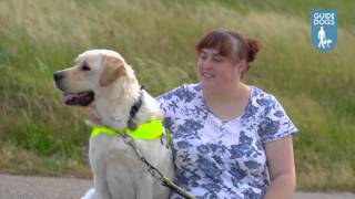 Guide and assistance dogs film  Services [upl. by Anen]