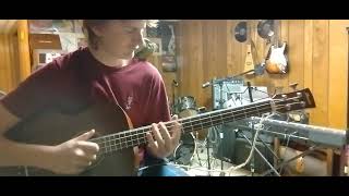 wyonnas Big Brown Beaver Duo De Twang Kermit the frog cover [upl. by Floss]