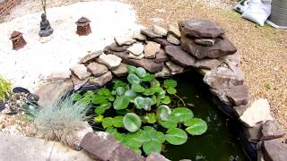 Easy Garden Pond no pump needed PART II Q amp A [upl. by Lindholm]