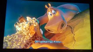 MADAGASCAR 2  Gloria Saves Melman From The Sacrifice 🦛❤️🦒  🌋 [upl. by Brade]