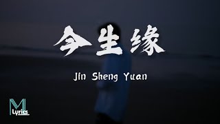 Wang San 王三  Jin Sheng Yuan 今生缘 Lyrics 歌词 PinyinEnglish Translation 動態歌詞 [upl. by Four692]